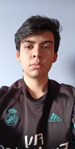 MAURICIO DAVID  ALBITER CERVANTES